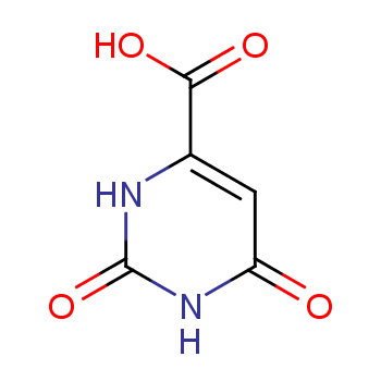 Оротова кислота
