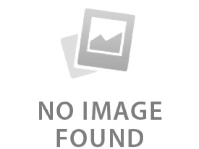 Оцинкування ваг палетних серії 4BDU